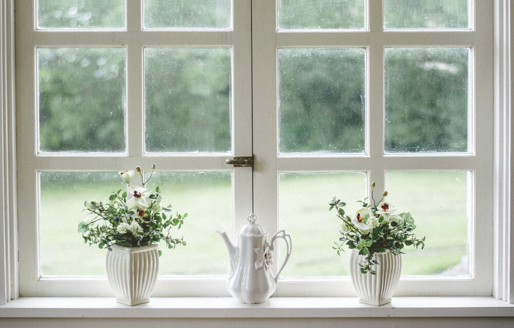 White windows with two plants on shelf 