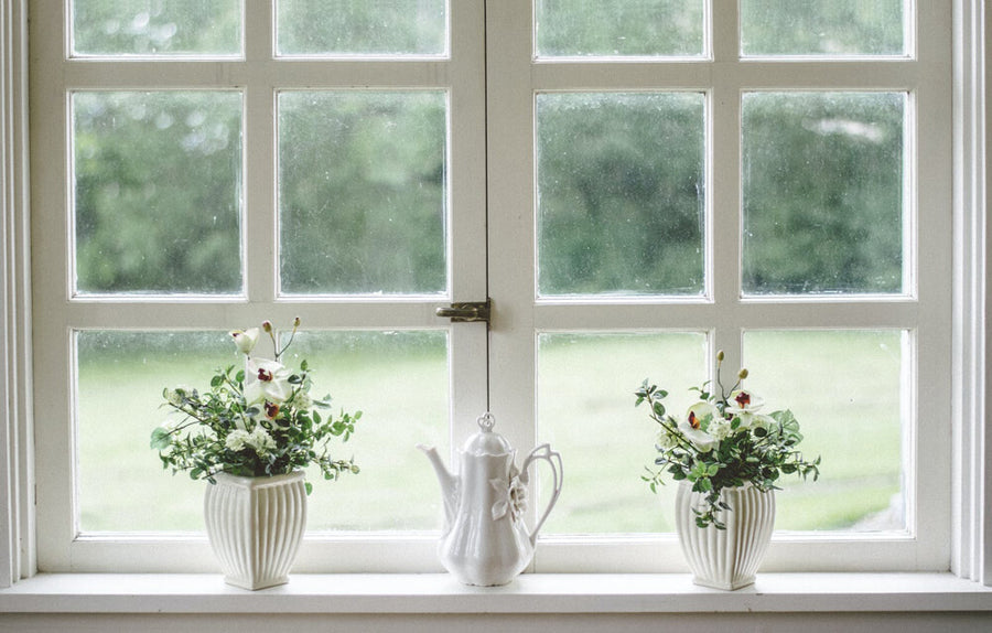 White windows with two plants on shelf 