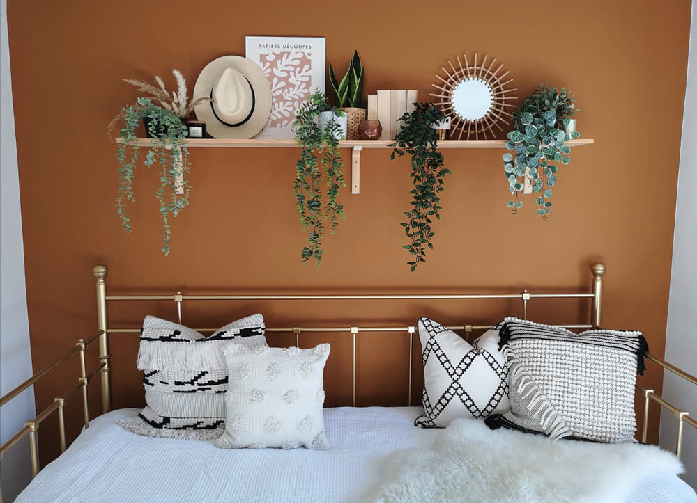 Wall painted in Orange 02 with hanging green plants on a shelf