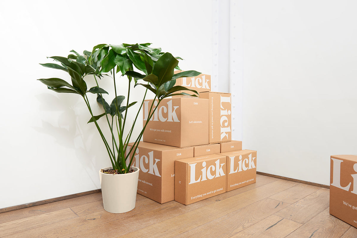 Lick boxes